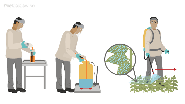 During Spraying Calibrate your sprayer each time you use it | Pesticidewise