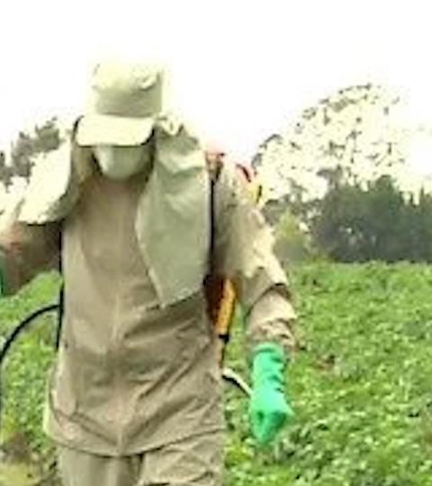 Farmer in a green field carrying a sack, with another worker behind