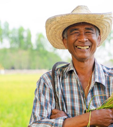 Smiling farmer in straw hat holding rice stalks in a green field