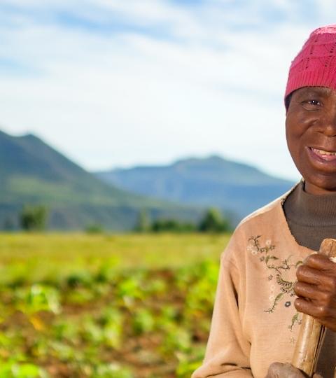 Person in a red headscarf standing in a green field with mountains in the background