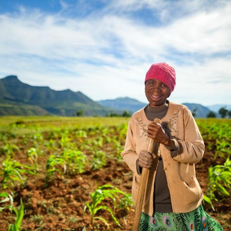 Farmer in a red headscarf stands in a green crop field with mountains behind