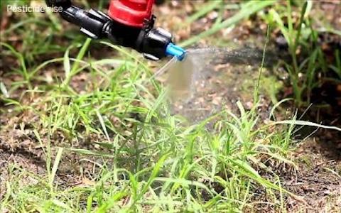 pesticidewise_deflector_nozzle_resize
